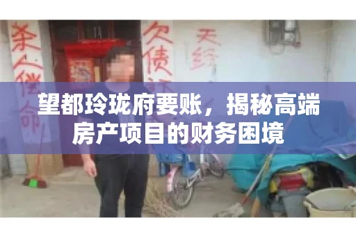 望都玲珑府要账，揭秘高端房产项目的财务困境