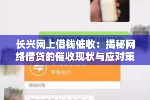 长兴网上借钱催收：揭秘网络借贷的催收现状与应对策略