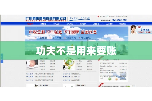 功夫不是用来要账