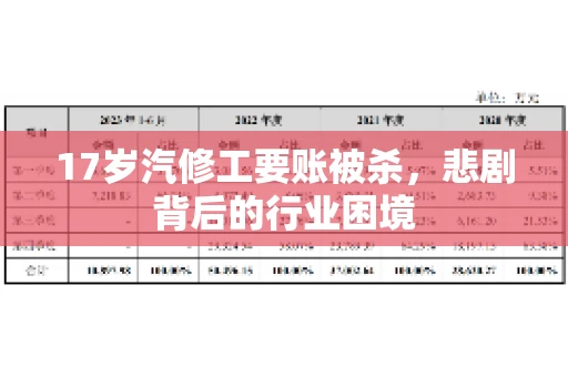 17岁汽修工要账被杀，悲剧背后的行业困境