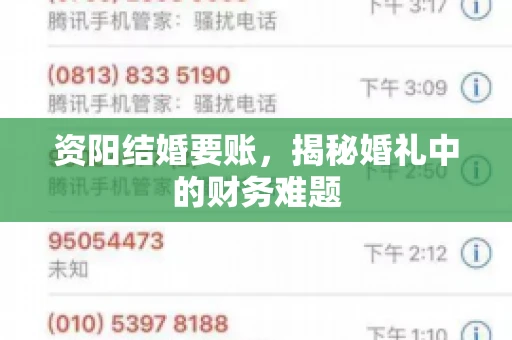 资阳结婚要账，揭秘婚礼中的财务难题