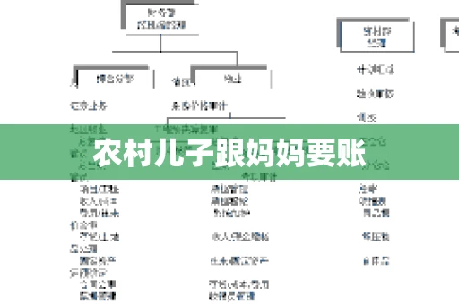 农村儿子跟妈妈要账