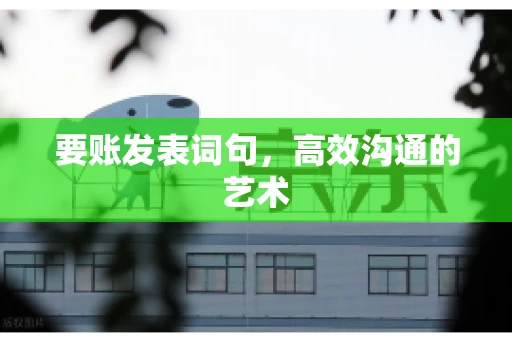 要账发表词句，高效沟通的艺术