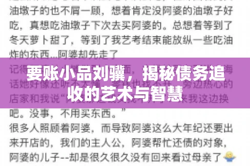要账小品刘骥,揭秘债务追收的艺术与智慧 要账小品刘骥,揭秘债务追收的艺术与智慧