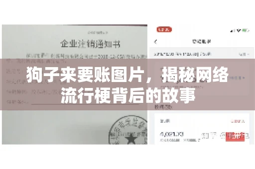 狗子来要账图片，揭秘网络流行梗背后的故事