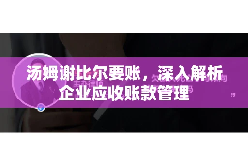 汤姆谢比尔要账，深入解析企业应收账款管理