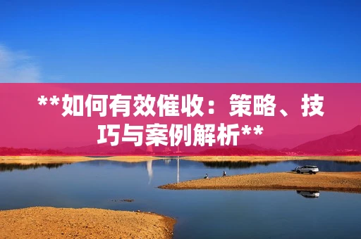 **如何有效催收：策略、技巧与案例解析**
