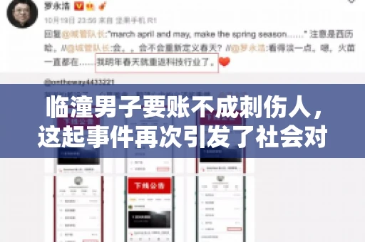 临潼男子要账不成刺伤人，这起事件再次引发了社会对讨债行为的关注。在这个故事中，我们不仅要了解事件的经过，还要思考如何避免类似悲剧的发生。