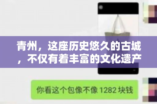 青州，这座历史悠久的古城，不仅有着丰富的文化遗产，还有着繁忙的经济活动。在商业往来中，难免会遇到一些欠款问题，这时候，找一家专业的要账公司就显得尤为重要。那么，青州有帮人要账的吗？答案是肯定的。下面，我就来为大家详细介绍一下青州地区的要账服务。
