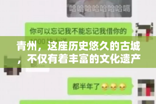 青州，这座历史悠久的古城，不仅有着丰富的文化遗产，也是商业活动频繁的地方。对于许多企业来说，应收账款的管理是日常运营中不可或缺的一环。那么，青州那里有要账的公司呢？今天，我们就来聊聊这个话题。
