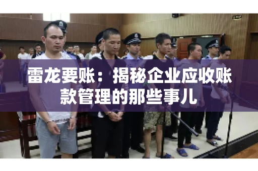 雷龙要账：揭秘企业应收账款管理的那些事儿