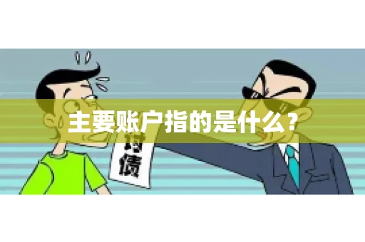 主要账户指的是什么？