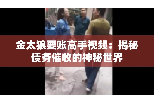 金太狼要账高手视频：揭秘债务催收的神秘世界