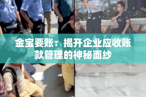 金宝要账:揭开企业应收账款管理的神秘面纱 金宝要账:揭开企业应收账款管理的神秘面纱