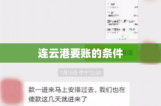 连云港要账的条件