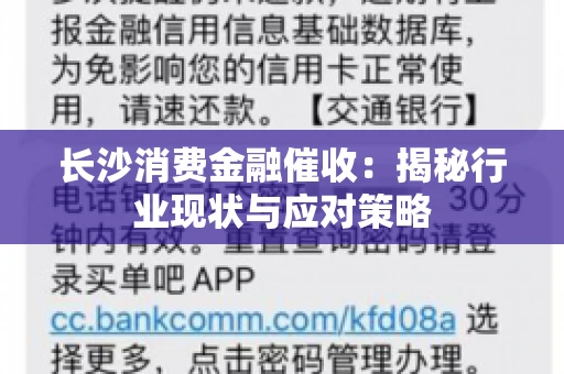长沙消费金融催收：揭秘行业现状与应对策略