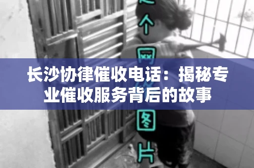 长沙协律催收电话：揭秘专业催收服务背后的故事