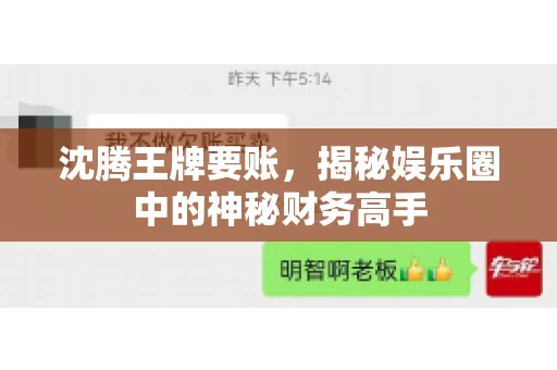 沈腾王牌要账,揭秘娱乐圈中的神秘财务高手 沈腾王牌要账,揭秘娱乐圈中的神秘财务高手