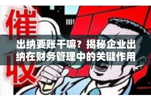 出纳要账干嘛？揭秘企业出纳在财务管理中的关键作用